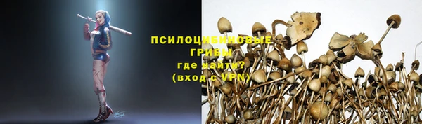 мдпв Пересвет