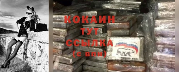 мдпв Пересвет