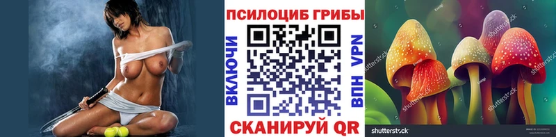 Галлюциногенные грибы Psilocybe  Александров 