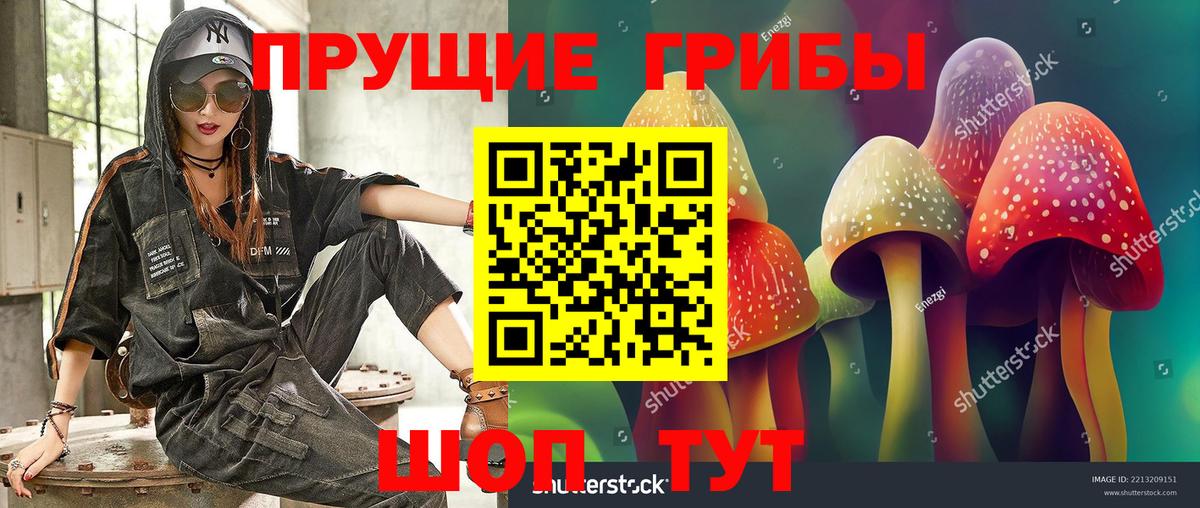 Псилоцибиновые грибы GOLDEN TEACHER Александров
